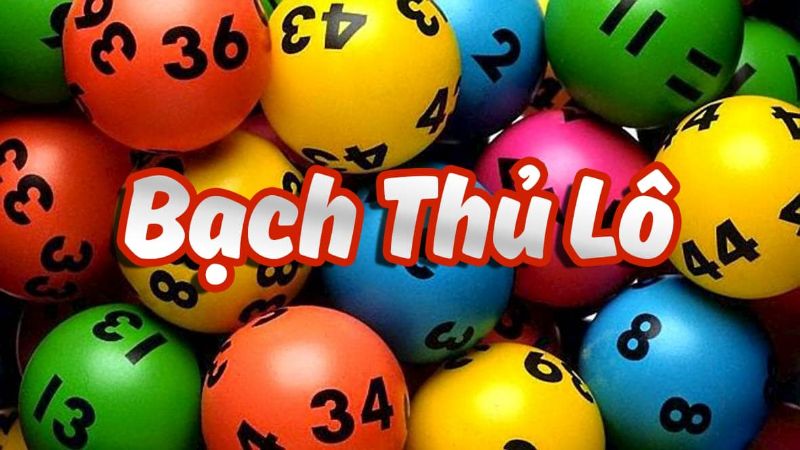 Bạch thủ lô là gì? - Từ nghiệp dư trở thành cao thủ 