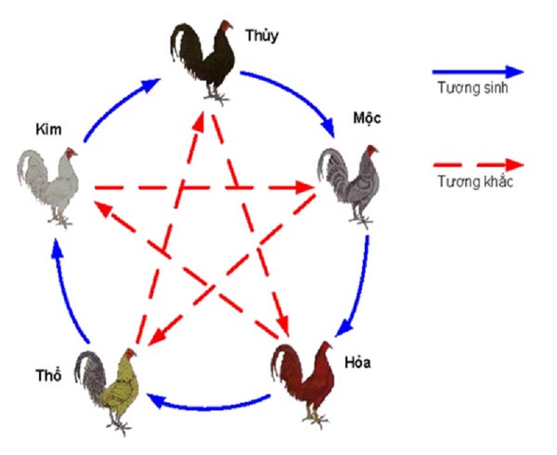 Một ngày có 12 giờ tương ứng với ngũ hành trong phong thủy