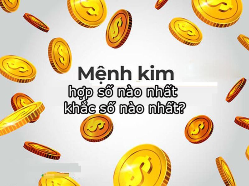 Con số nào thì sẽ phù hợp?