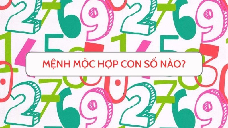 Con số nào sẽ phù hợp với mệnh mộc