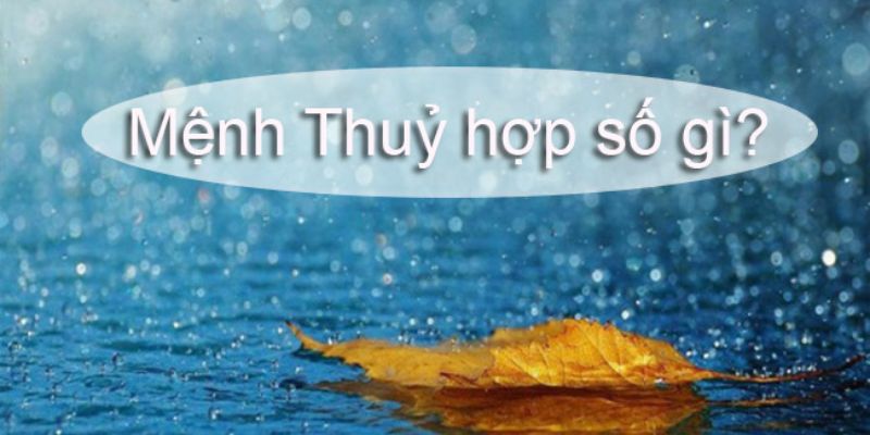 Tìm hiểu cụ thể những con số hợp mệnh Thủy