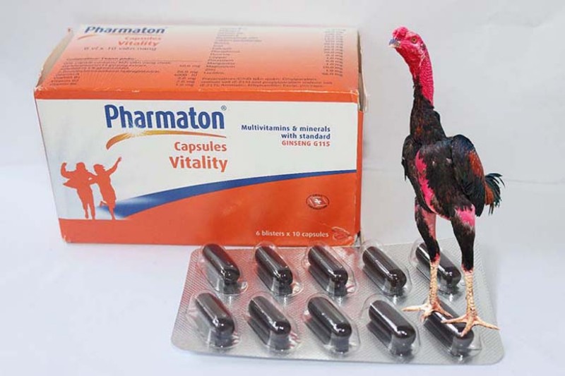 Thuốc kích lực hiệu quả được dùng cho gà