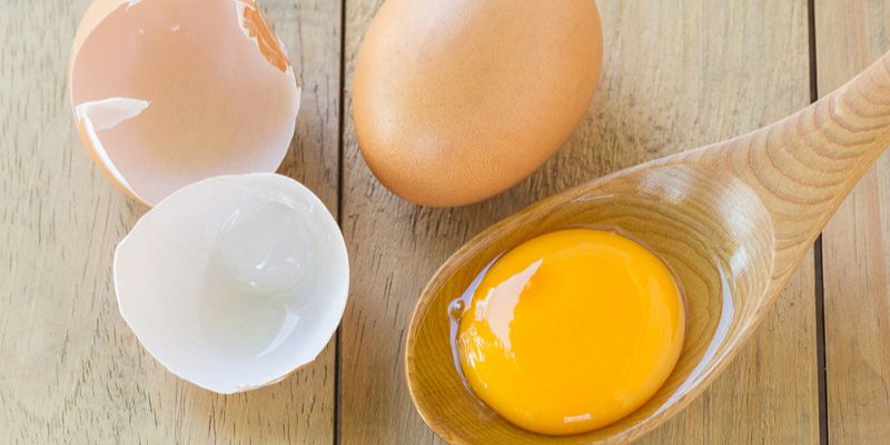 Cho gà ăn lòng đỏ trứng giúp làm giảm trọng lượng mỡ thừa trong cơ thể