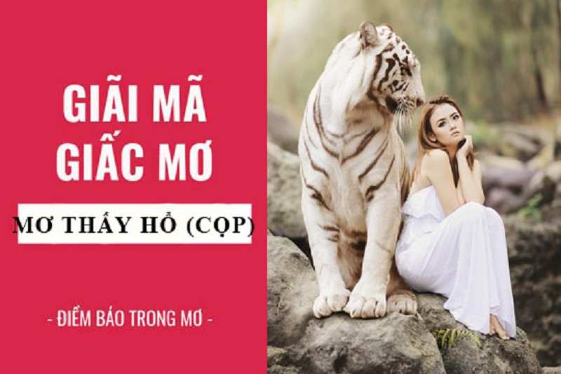 Chiêm bao thấy nuôi hổ trong nhà 