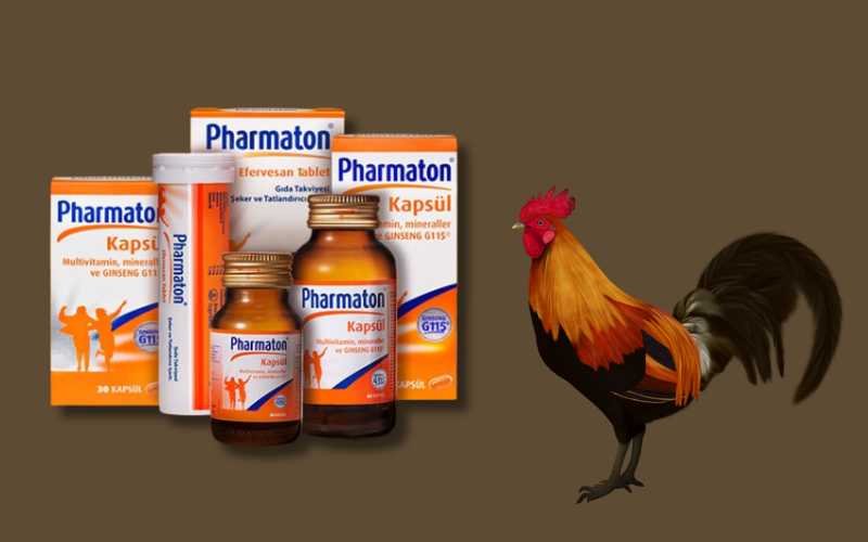 Khi nào thì cho gà uống thuốc bổ Pharmaton