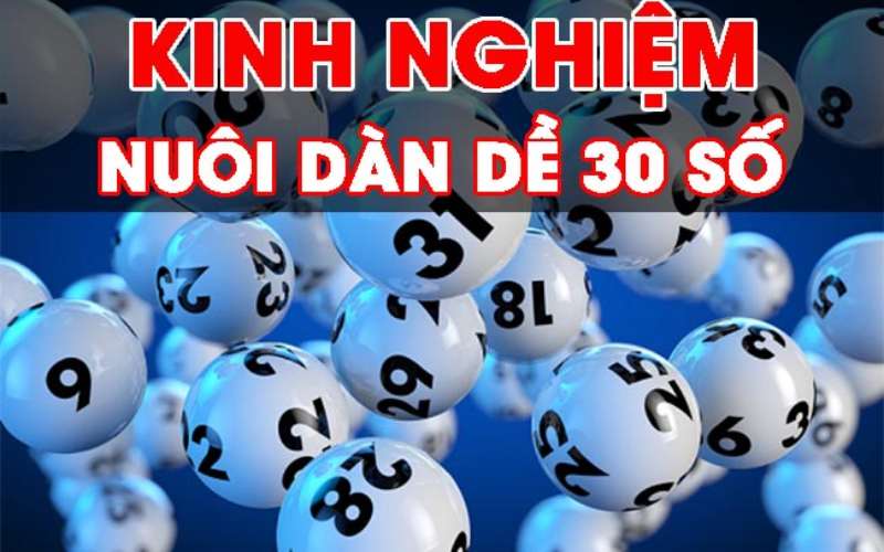 Mách bạn kinh nghiệm nuôi dàn đề 30 số hiệu quả