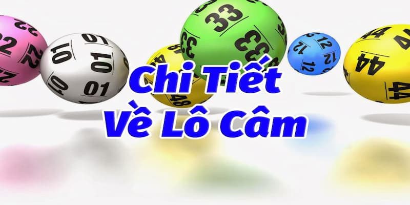 Lô câm là thuật ngữ chỉ những cặp lô lâu không về