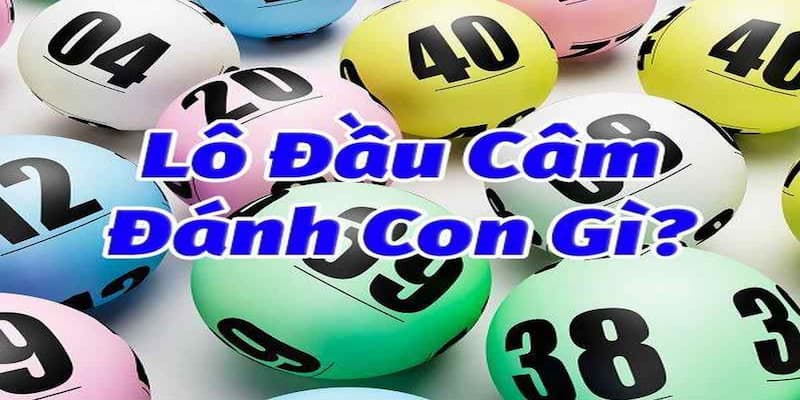 Bắt chuẩn xác lô đầu đít câm với các cặp lô kép may mắn