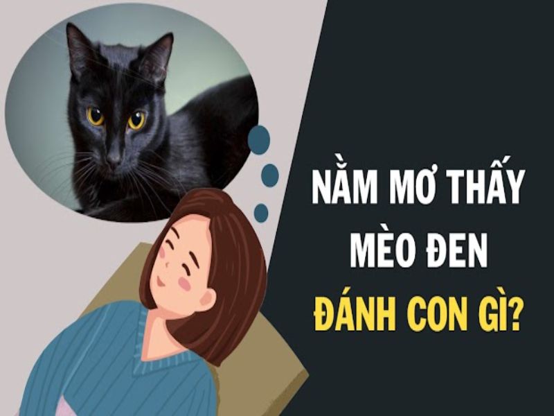 Con số may mắn khi chiêm bao thấy mèo đen